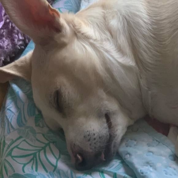 Meet your Posher, Vincent - Picture 1 of 1